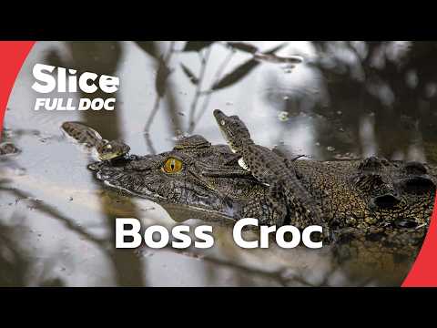 Nero & Brutus: Inside the Lives of the Earth’s Most Dangerous Reptiles | FULL DOCUMENTARY