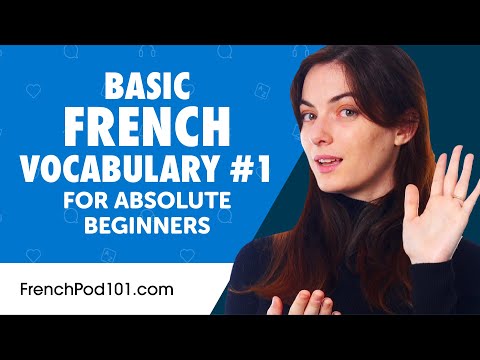 Learn Basic French Vocabulary for Daily Life #1