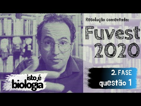 FUVEST 2020 - 2º Fase - Questão 1