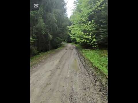 11.05.2025 Drumetie Lacul Agăș