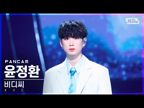 윤정환