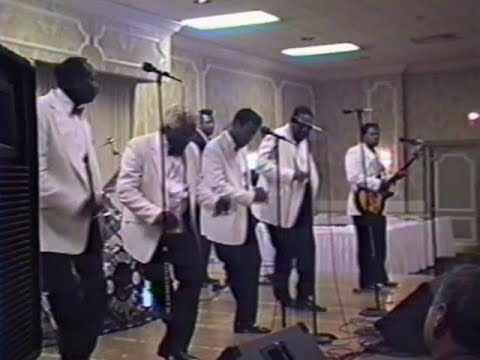 The Edsels "Rama Lama Ding Dong"  Live - 1992