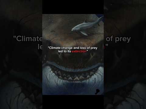 When the Ocean Had Something Even Whales Feared #prehistoricanimals #fypage