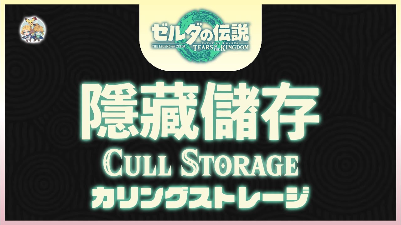 不廢話17 -「隱藏儲存(Cull Storage)」(適用：全版本)