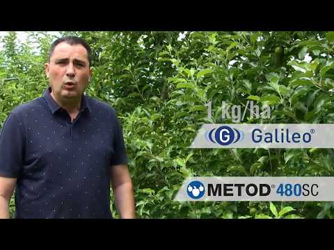 GALENIKA FITOFARMACIJA - Zaštita zasada jabuke