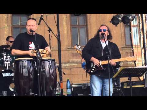 Cestující hudba- Nashledanou krokodýle (live)