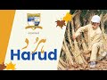 HARUD 2022 Kashmiri Culture Kashmir Harvard
