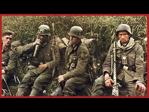 6 Weeks to Victory? Real German Infantry Experience in Operation Barbarossa 1941