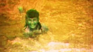 nick nicely/Boars    Ghostdream ( single version )