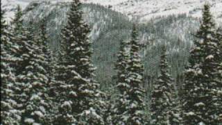 The Afters Beautiful Words