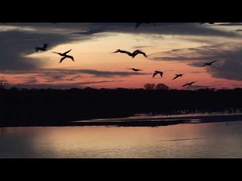download lagu mp3 mp4 Kaleidoscopes Spring Rain, download mp3 Kaleidoscopes Spring Rain free download, download mp3 Kaleidoscopes Spring Rain