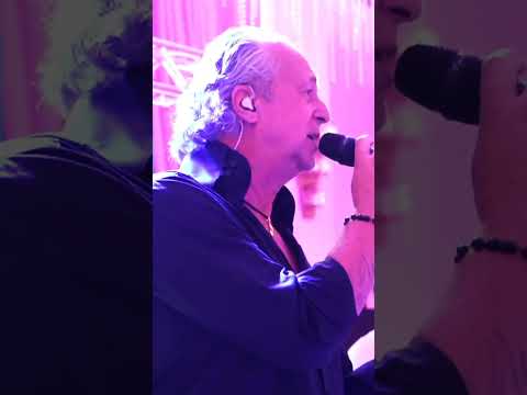 Trupa Cover Mihai Napu Band