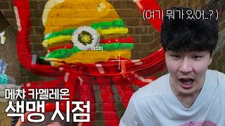 색맹이 메챠 카멜레온 하면 생기는 일 색맹이 메챠 카멜레온 하면 생기는 일