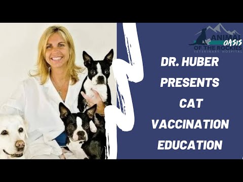 Cat Vaccination Education