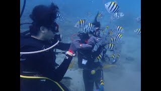 如何輕鬆考取潛水執照?考PADI open water diver前準備