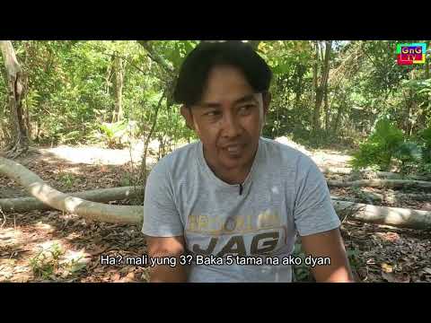 Nagtungtung Ni Dimsy ken Masong  - Masong Dimsy