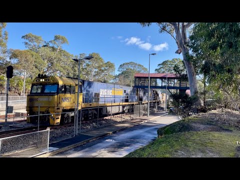 Pacific National Freight - 7MP7 - NR57, NR4, NR20