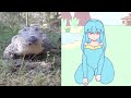 Cute Croc Videos But It S Animated