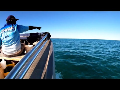 MABU BURU LIFESTYLE EPISODE 16 - BIG CATFISH in Roebuck Bay