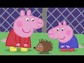 Peppa Pig Meets Mr Hedgehog