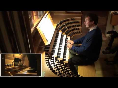 L. Anderson: The waltzing cat