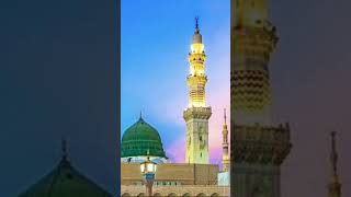 Download lagu halale Dil @jannat amin mp3