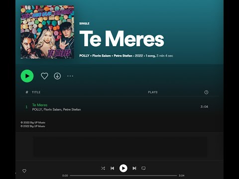 POLLY x FLORIN SALAM x PETRE STEFAN - TE MERES
