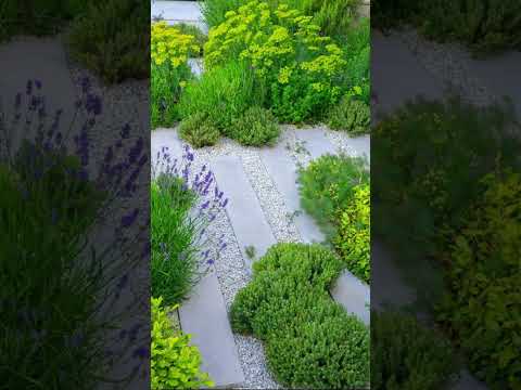 jardin sur plusieurs niveaux -jardin-moderne-brise-vue-bois-banc-ovale-coin-repas-bassin