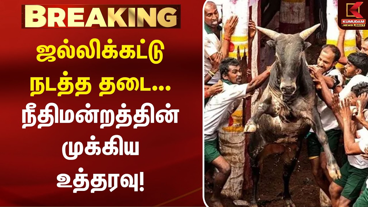 ஜல்லிக்கட்டு நடத்த தடை கோரி வழக்கு... நீதிமன்றத்தின் முக்கிய உத்தரவு! | Jallikattu | High Court