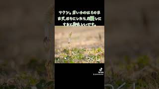 2024年3月30日