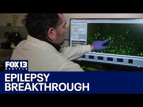 Breakthrough epilepsy gene therapy happening in Seattle