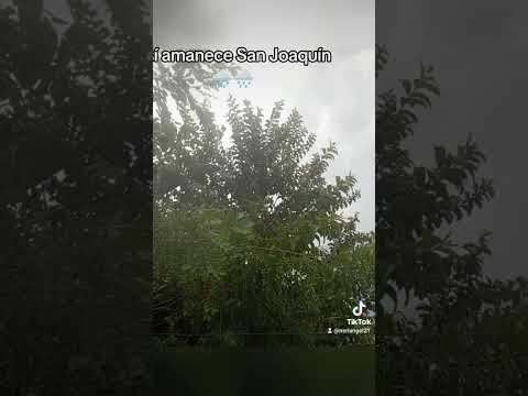 una mañana lluviosa 🌧️ así amaneció san Joaquín hoy 15 de octubre  #sanjoaquin #Venezuela