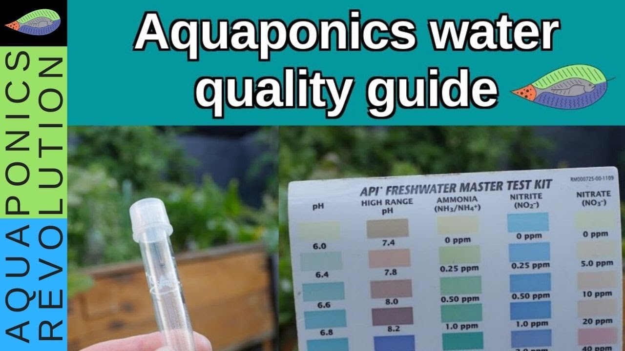 How to manage aquaponics water quality | Full guide
