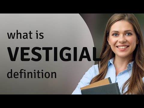 Vestigial &bull; meaning of VESTIGIAL