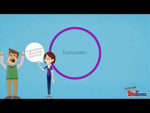 Bronfenbrenner's Ecological Theory