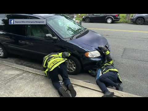 Bayonne Kitten Rescue