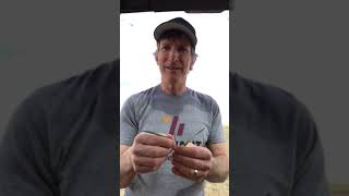 Tridem™, Stellar™XL and Simplicity™GoDRI™ | Wheat Crop Staging Explained