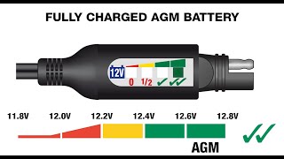 Battery Monitor with Socket Adapter - video thumbnail 3
