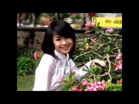 Xuân mênh mông - Hồng Mơ