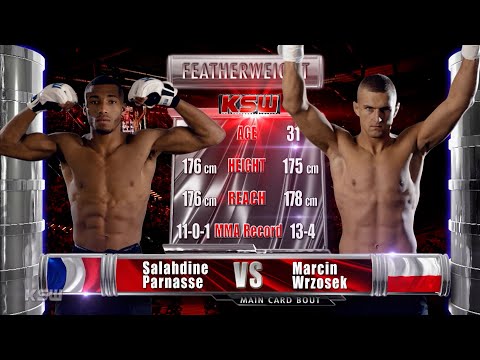Salahdine Parnasse vs Marcin Wrzosek full fight