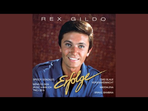 Glück Gehört Dazu - Rex Gildo