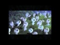 Conjure One - Tears from the Moon (Live in ...