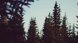 For a While- Fenne Lily