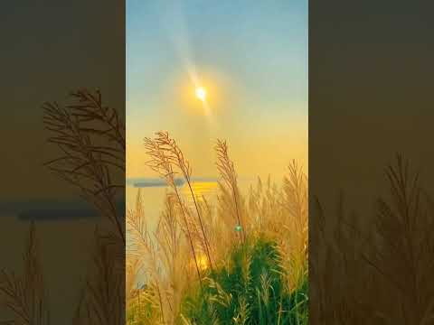 सूर्य का जन्म #shorts #viralvideo #viralshort #trendingshorts #facts #shortsfeed #youtubeshorts
