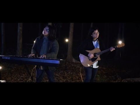 Video thumbnail for Leaves