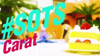 Carat『#SOTS』 Music Video Half Ver.