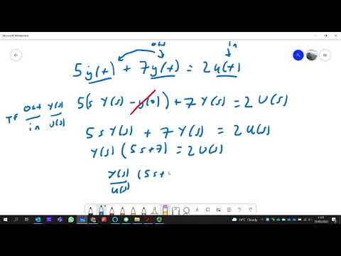 Dr Robert Rayner video.