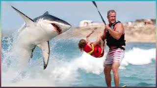 When Animals Go On A Rampage - Interesting Animal Moments