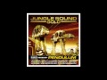 Jungle Sound Gold mixed by Pendulum Part 6/7 ...
