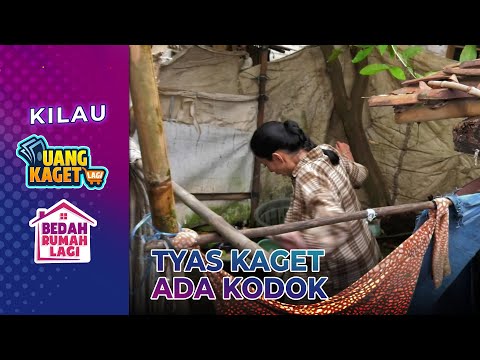 Ada Kodok! Tyas Mirasih Kaget! Kamar Mandi Rubuh! - Kilau Uang Kaget & Bedah Rumah